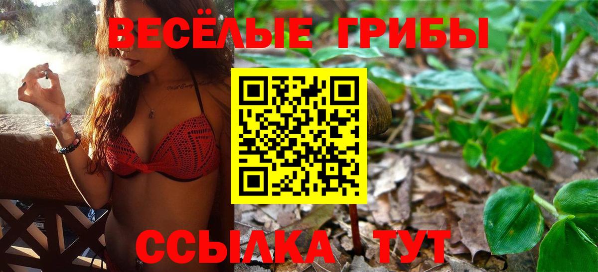 Где купить наркотики?  Меф кристаллы  Конопля  LSD-25  ГАШИШ  Сергиев Посад  Вход с VPN 